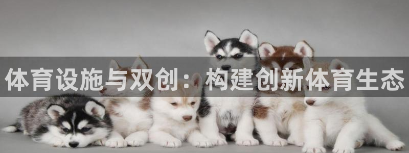 意昂4集团官网网址：体育设施与双创：构建创新体育生态