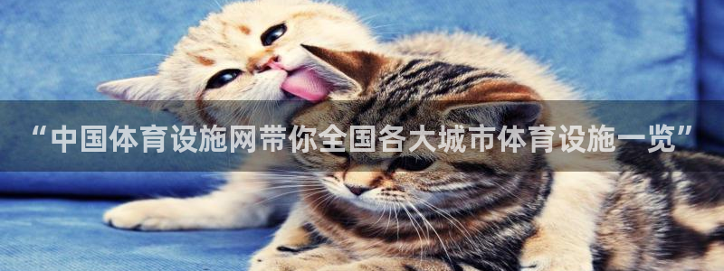 注册意昂4：“中国体育设施网带你全国各大城市体育设施