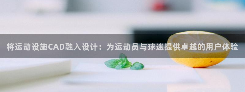 意昂4娱乐首页网站大全：将运动设施CAD融入设计：为