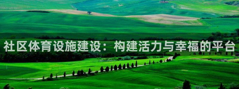 意昂体育4娱乐：社区体育设施建设：构建活力与幸福的平