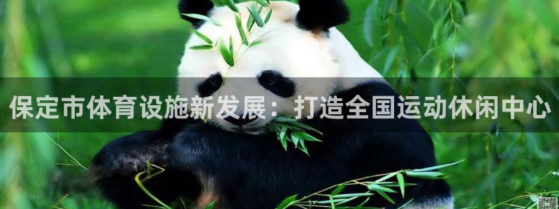 意昂体育4招商电话：保定市体育设施新发展：打造全国运