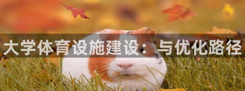 意昂体育4平台注册：大学体育设施建设：与优化路径