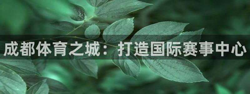意昂体育4招商电话地址：成都体育之城：打造国际赛事中