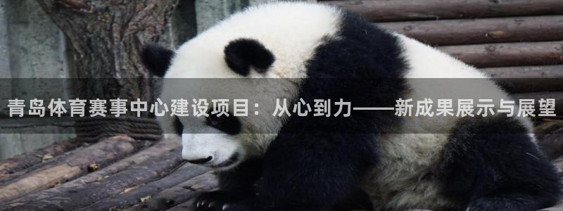 意昂体育4招商电话是多少号码：青岛体育赛事中心建设项