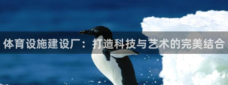 意昂体育4软件：体育设施建设厂：打造科技与艺术的完美