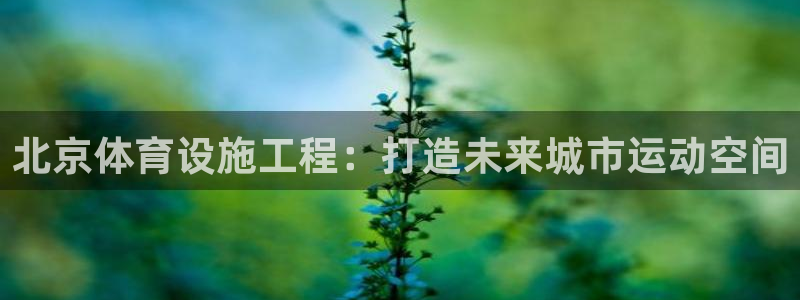 意昂体育4：北京体育设施工程：打造未来城市运动空间