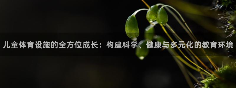 意昂体育4招商电话号码：儿童体育设施的全方位成长：构