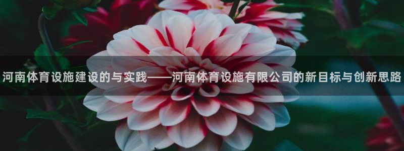 意昂体育4招商电话地址是多少：河南体育设施建设的与实