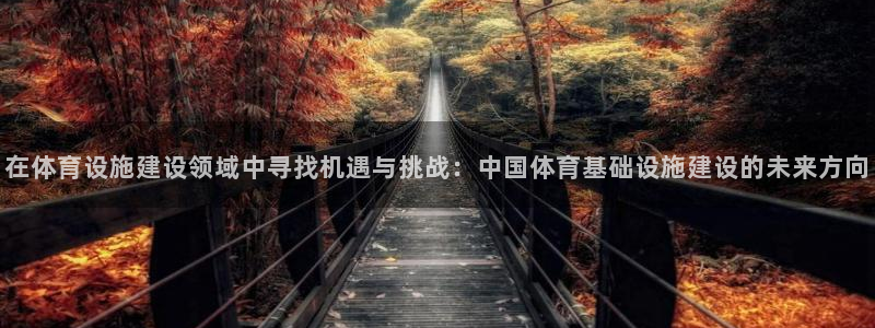 意昂4开户：在体育设施建设领域中寻找机遇与挑战：中国
