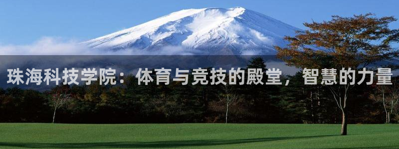 意昂4新能源：珠海科技学院：体育与竞技的殿堂，智慧的