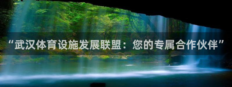 意昂体育4招商电话是多少号码：“武汉体育设施发展联盟