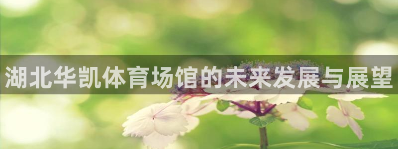 意昂4神州：湖北华凯体育场馆的未来发展与展望