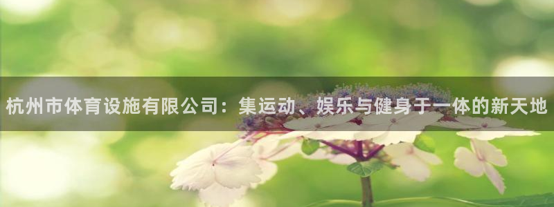 意昂体育4娱乐：杭州市体育设施有限公司：集运动、娱乐