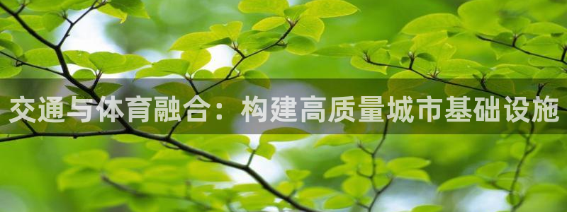 意昂4娱乐代理怎么样：交通与体育融合：构建高质量城市