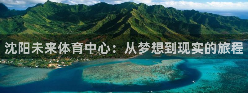 意昂体育4招商电话号码查询：沈阳未来体育中心：从梦想到现实的