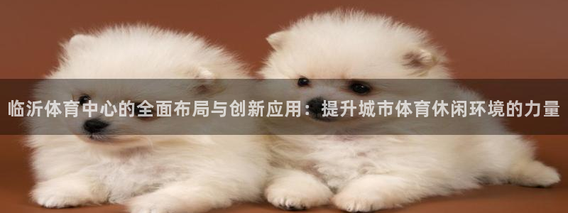 意昂4集团官网网址：临沂体育中心的全面布局与创新应用
