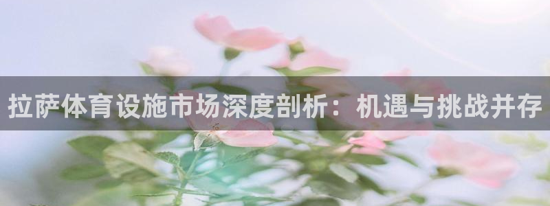 意昂4集团官网首页：拉萨体育设施市场深度剖析：机遇与