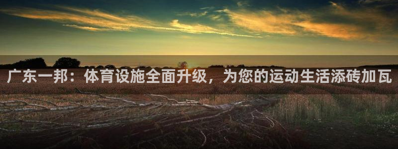 意昂4开户：广东一邦：体育设施全面升级，为您的运动生