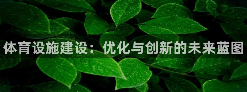 意昂平台体育：体育设施建设：优化与创新的未来蓝图