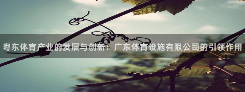 意昂体育4平台APP：粤东体育产业的发展与创新：广东体育设施