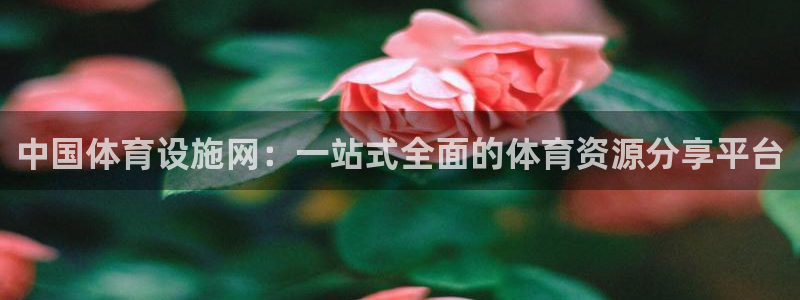 意昂体育4平台假的吗是真的吗吗：中国体育设施网：一站式全面的