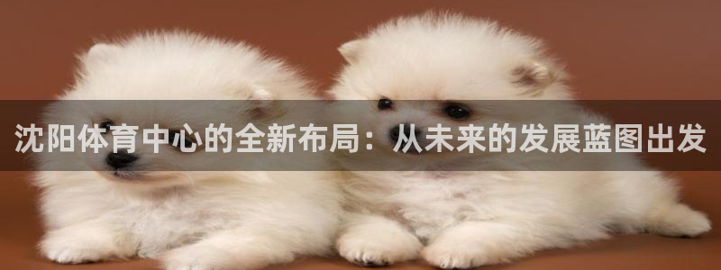 海南意昂体育4发展怎么样：沈阳体育中心的全新布局：从未来的发