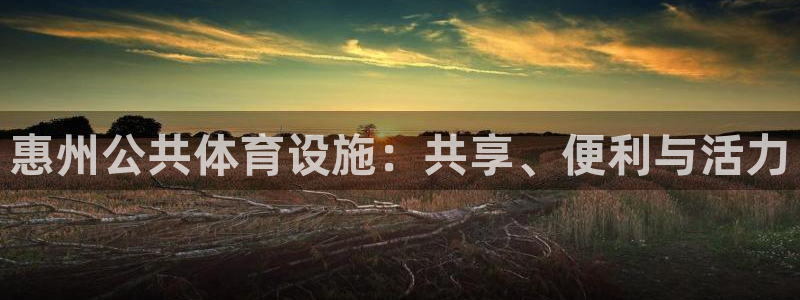 意昂平台体育：惠州公共体育设施：共享、便利与活力