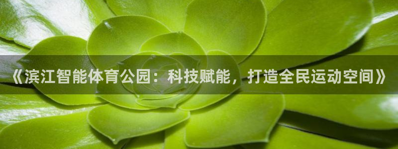 德国意昂4集团