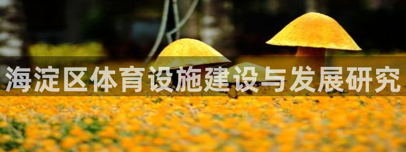 意昂4娱乐平台：海淀区体育设施建设与发展研究