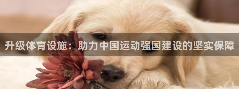 意昂体育4娱乐：升级体育设施：助力中国运动强国建设的