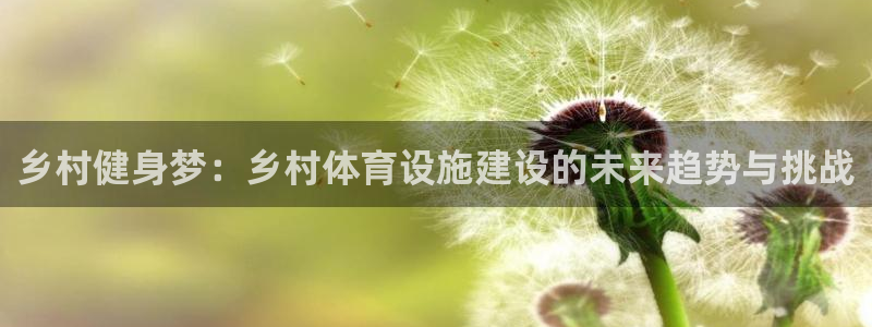 意昂4科技：乡村健身梦：乡村体育设施建设的未来趋势与