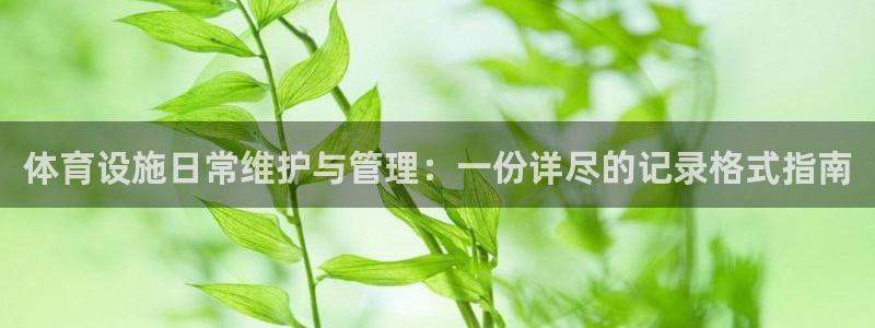 意昂4新能源：体育设施日常维护与管理：一份详尽的记录