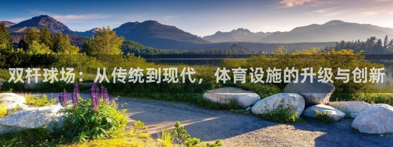 意昂4集团官网首页：双杆球场：从传统到现代，体育设施