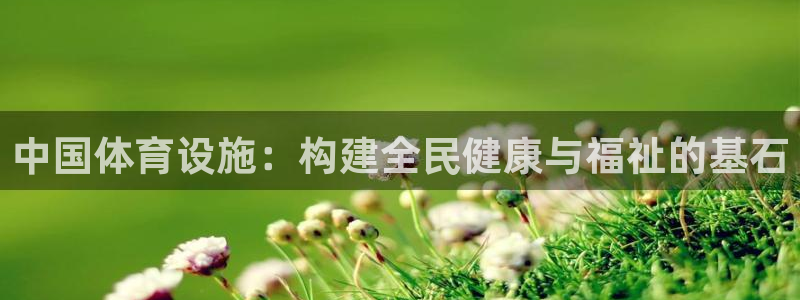 意昂4代理：中国体育设施：构建全民健康与福祉的基石
