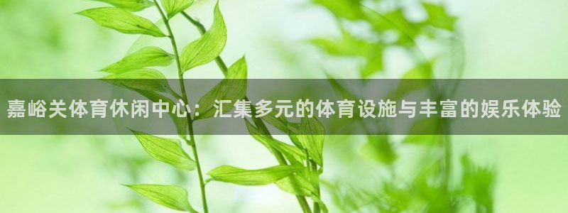 意昂4娱乐是那个系列的台子：嘉峪关体育休闲中心：汇集
