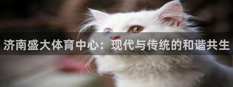 意昂体育4招商电话号码是多少：济南盛大体育中心：现代