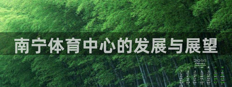 意昂4集团官网网址：南宁体育中心的发展与展望