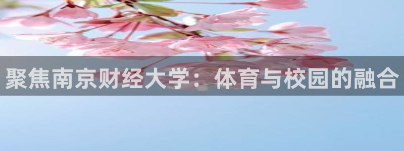意昂体育4招商：聚焦南京财经大学：体育与校园的融合
