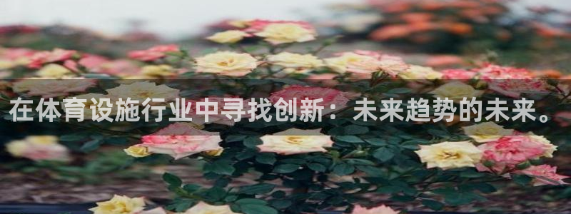 意昂体育4平台注册流程图：在体育设施行业中寻找创新：
