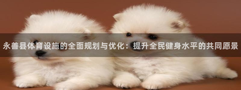 意昂体育4平台注册：永善县体育设施的全面规划与优化：