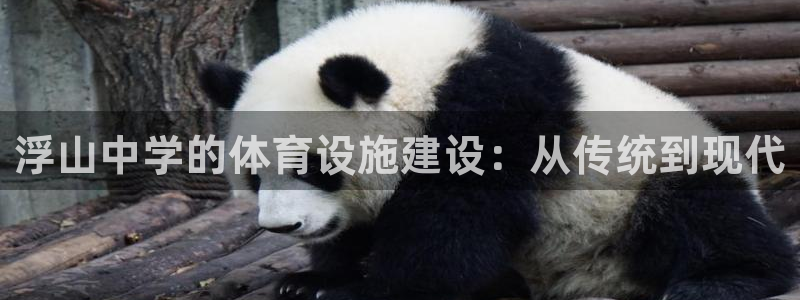 意昂4集团logo：浮山中学的体育设施建设：从传统到