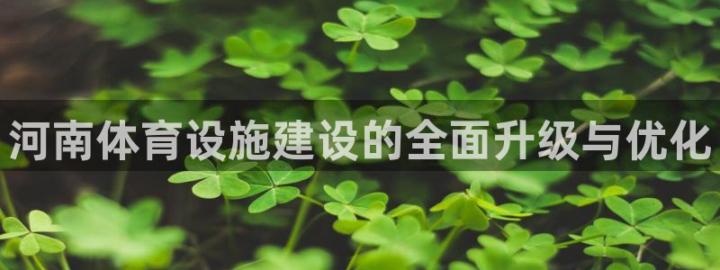 德国意昂4集团：河南体育设施建设的全面升级与优化