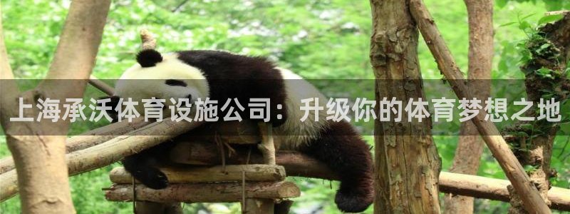 意昂体育4平台：上海承沃体育设施公司：升级你的体育梦