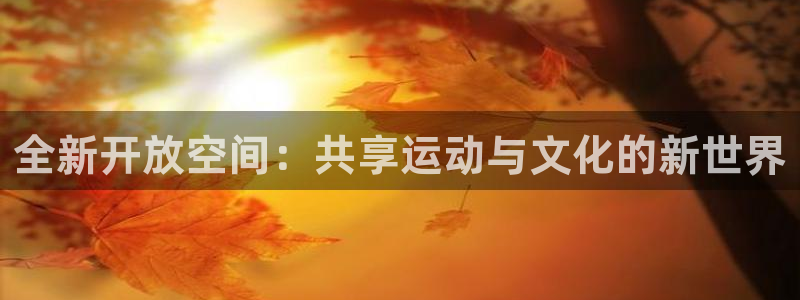 意昂体育4软件：全新开放空间：共享运动与文化的新世界