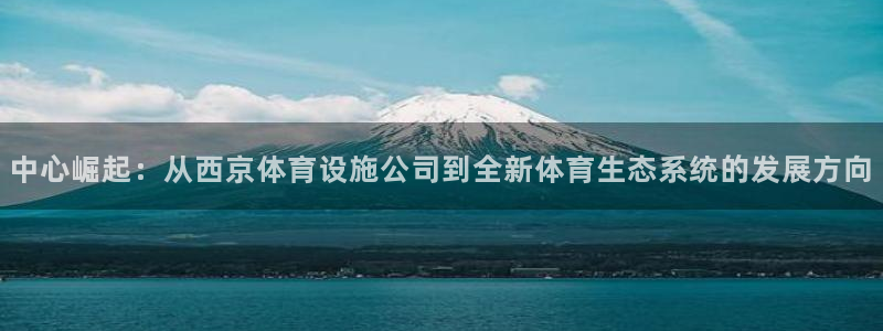 意昂体育4招商电话是多少号码：中心崛起：从西京体育设施公司到