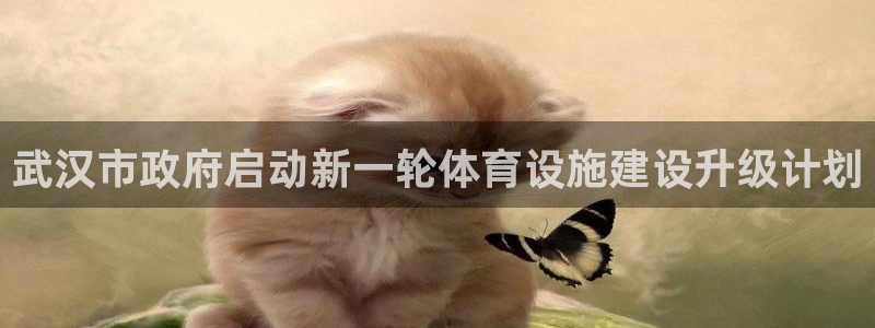 意昂体育4招商电话号码是多少：武汉市政府启动新一轮体