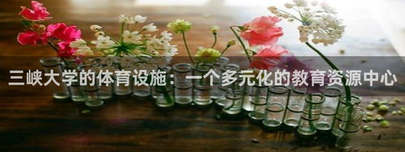 意昂体育4招商电话号码是多少号：三峡大学的体育设施：