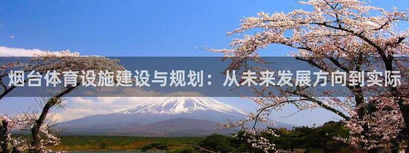 海南意昂体育4：烟台体育设施建设与规划：从未来发展方