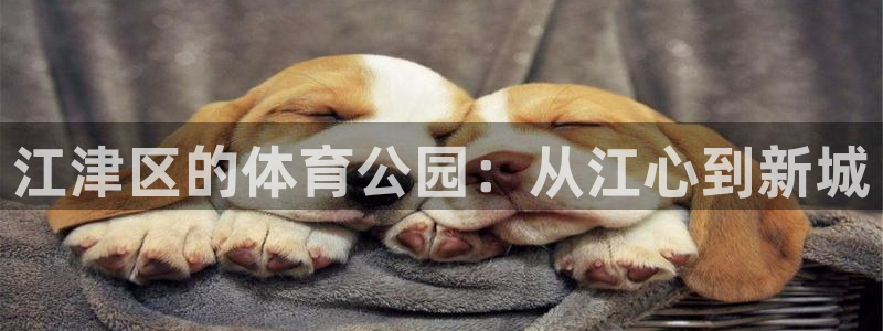 意昂体育4平台是正规平台吗知乎：江津区的体育公园：从