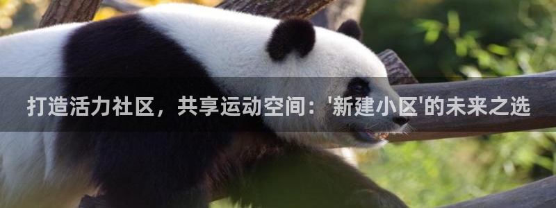 意昂4集团官网网址：打造活力社区，共享运动空间：\'